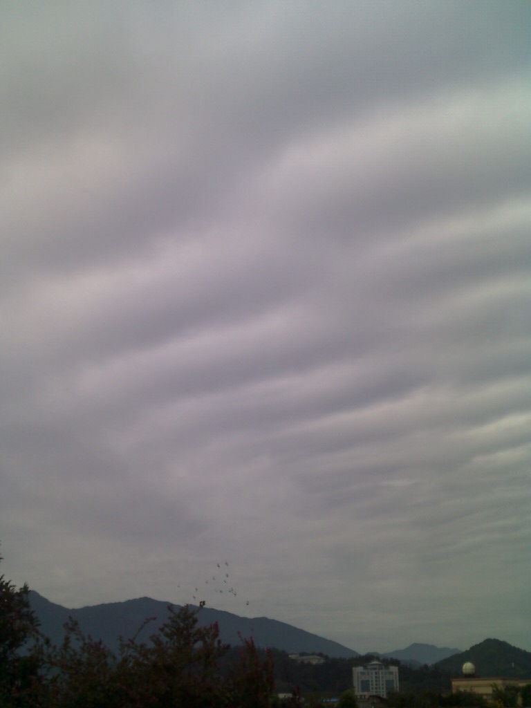 0926_085649.jpg