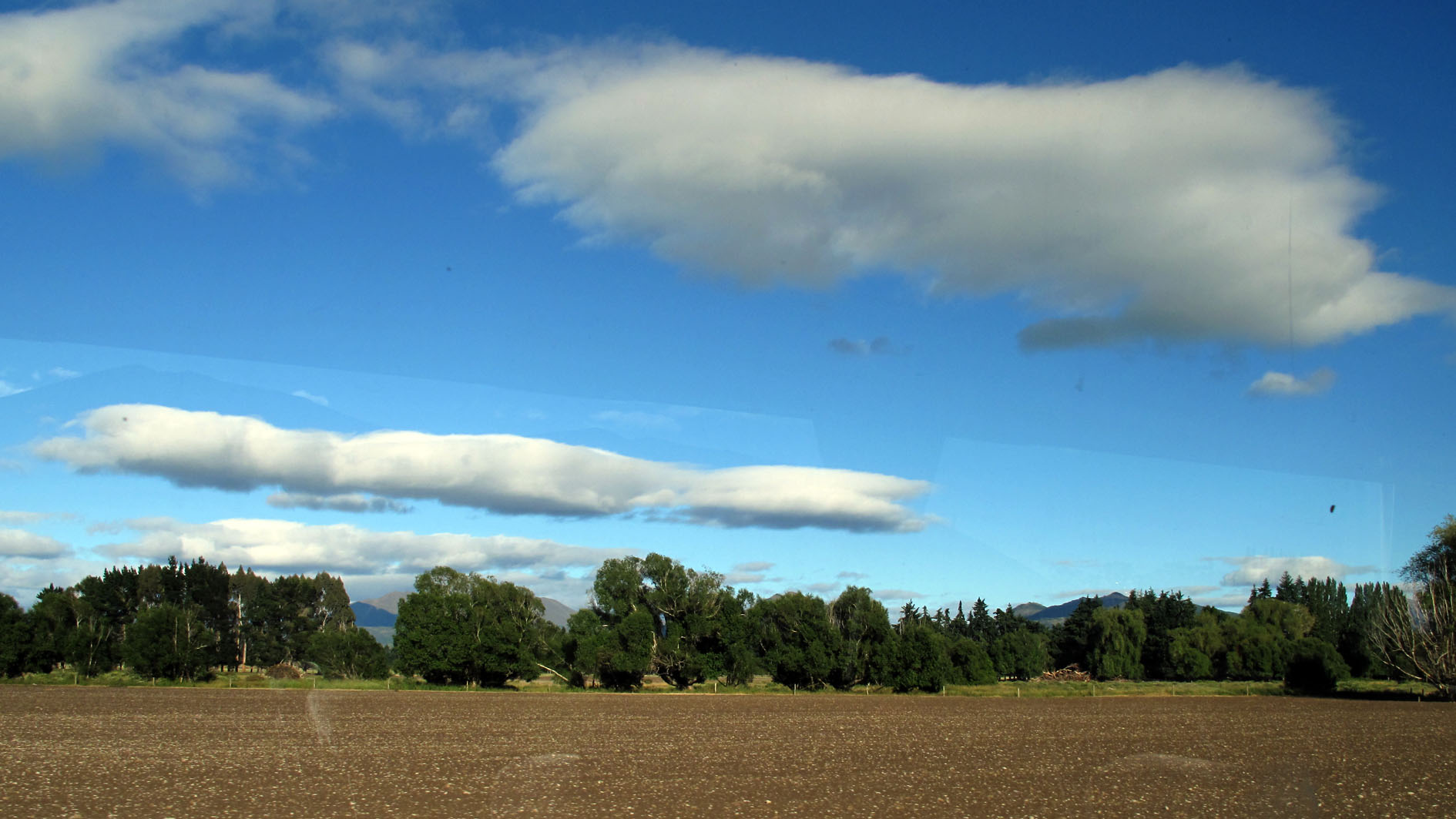 169IMG_6118.jpg