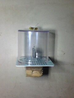 IMG0056A.jpg