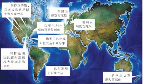 多国连续出现动物群死事件.jpg