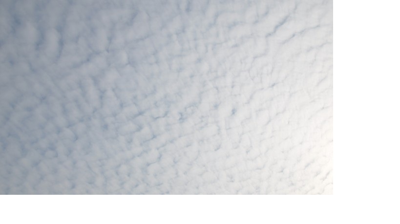 摄于苏州15时左右