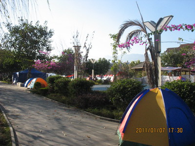 IMG_9495.jpg