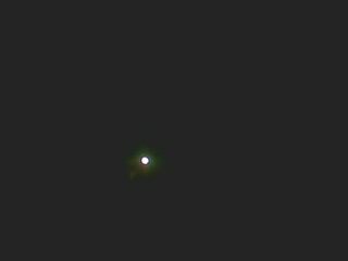IMG0058A.jpg