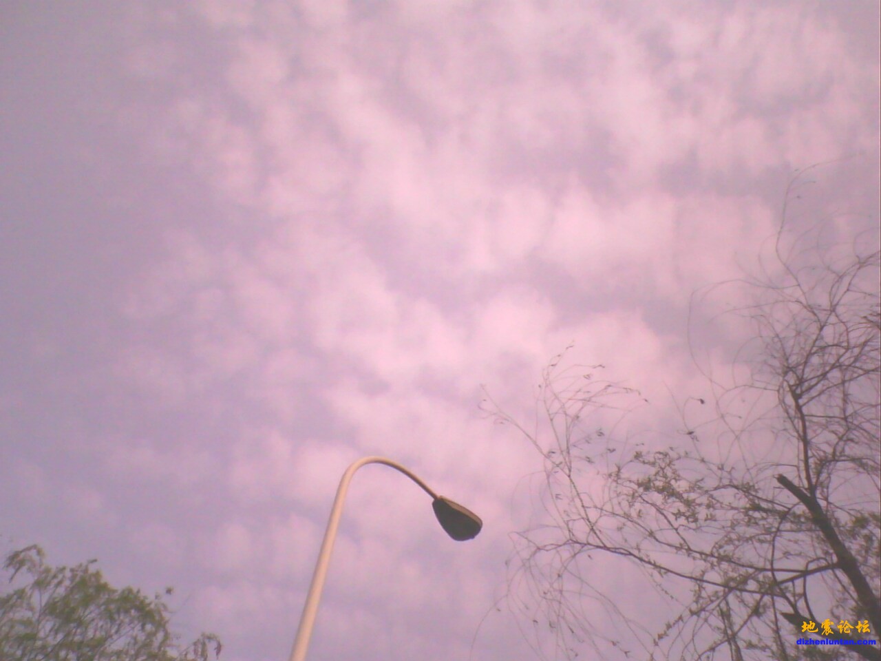 IMG0014A.jpg