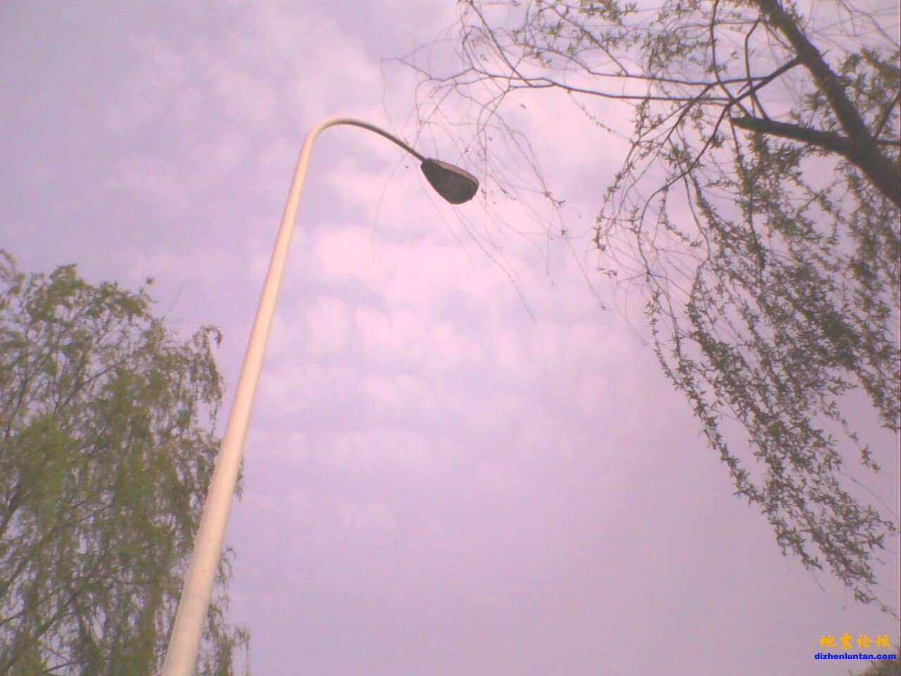 IMG0015A.jpg
