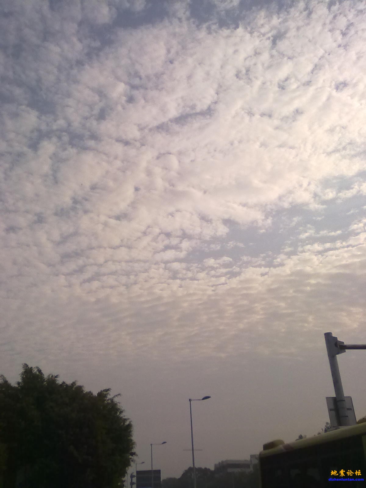 20110421183.jpg