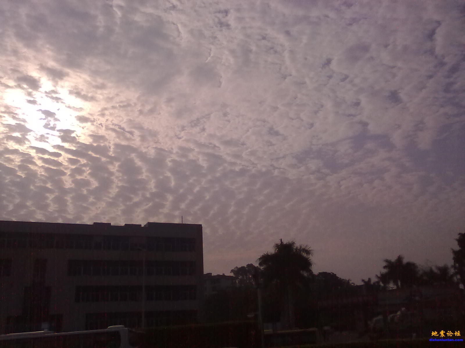 20110421184.jpg