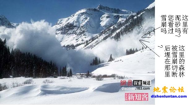 森林雪崩.JPG