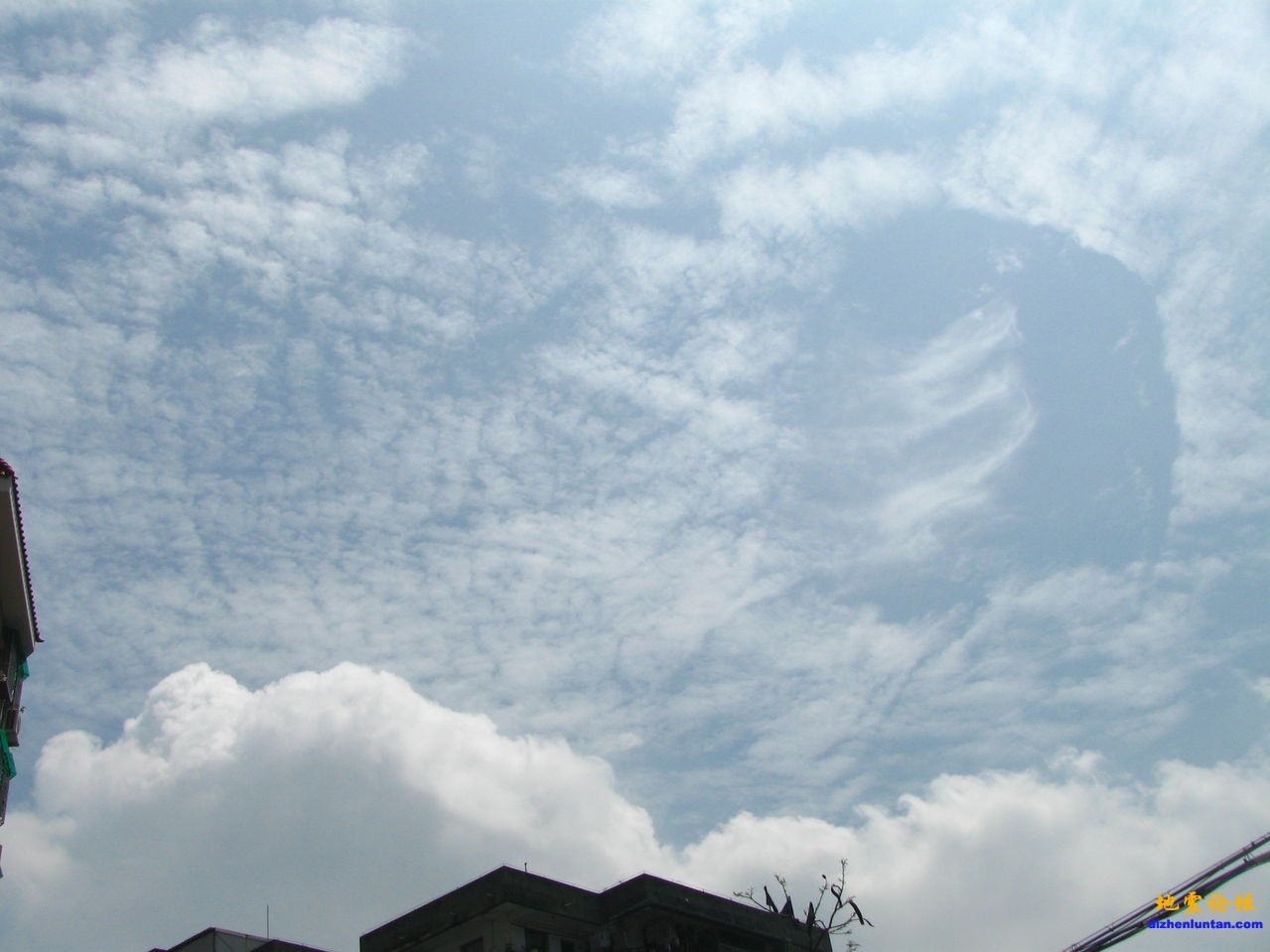 67d2cd8ce126d47506088b0c.jpg