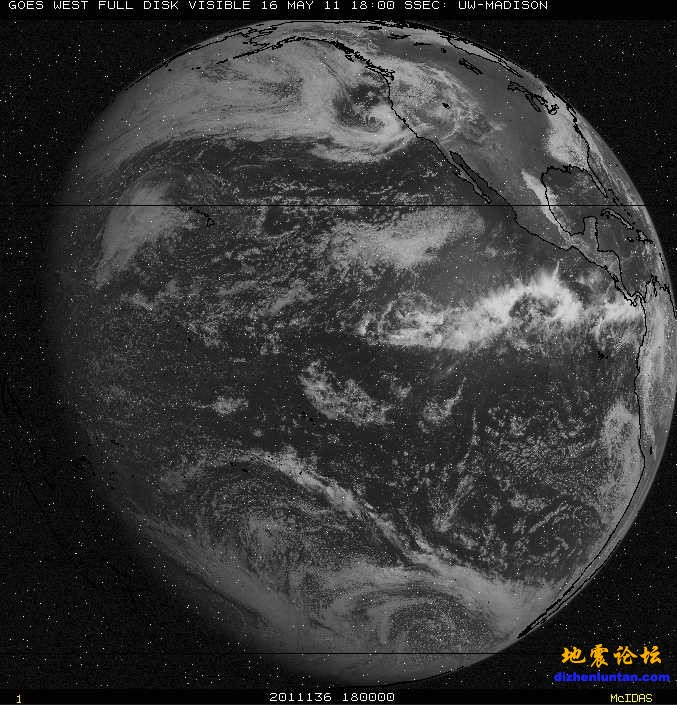 visfd－g－051618w横纹满天星.jpg