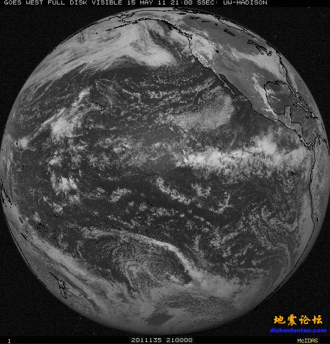 visfd－g－051521w满天星.jpg