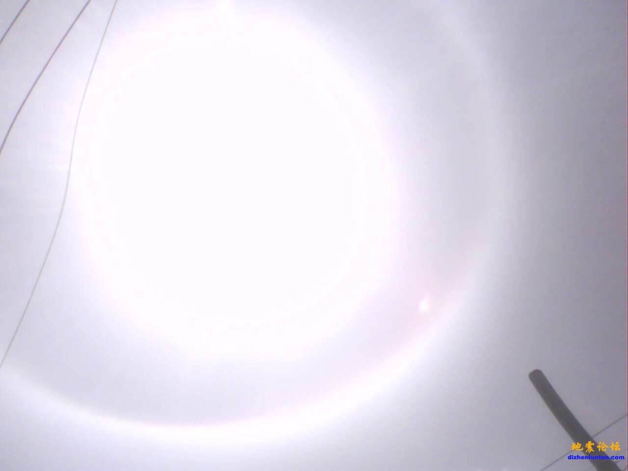 IMG0582A.jpg