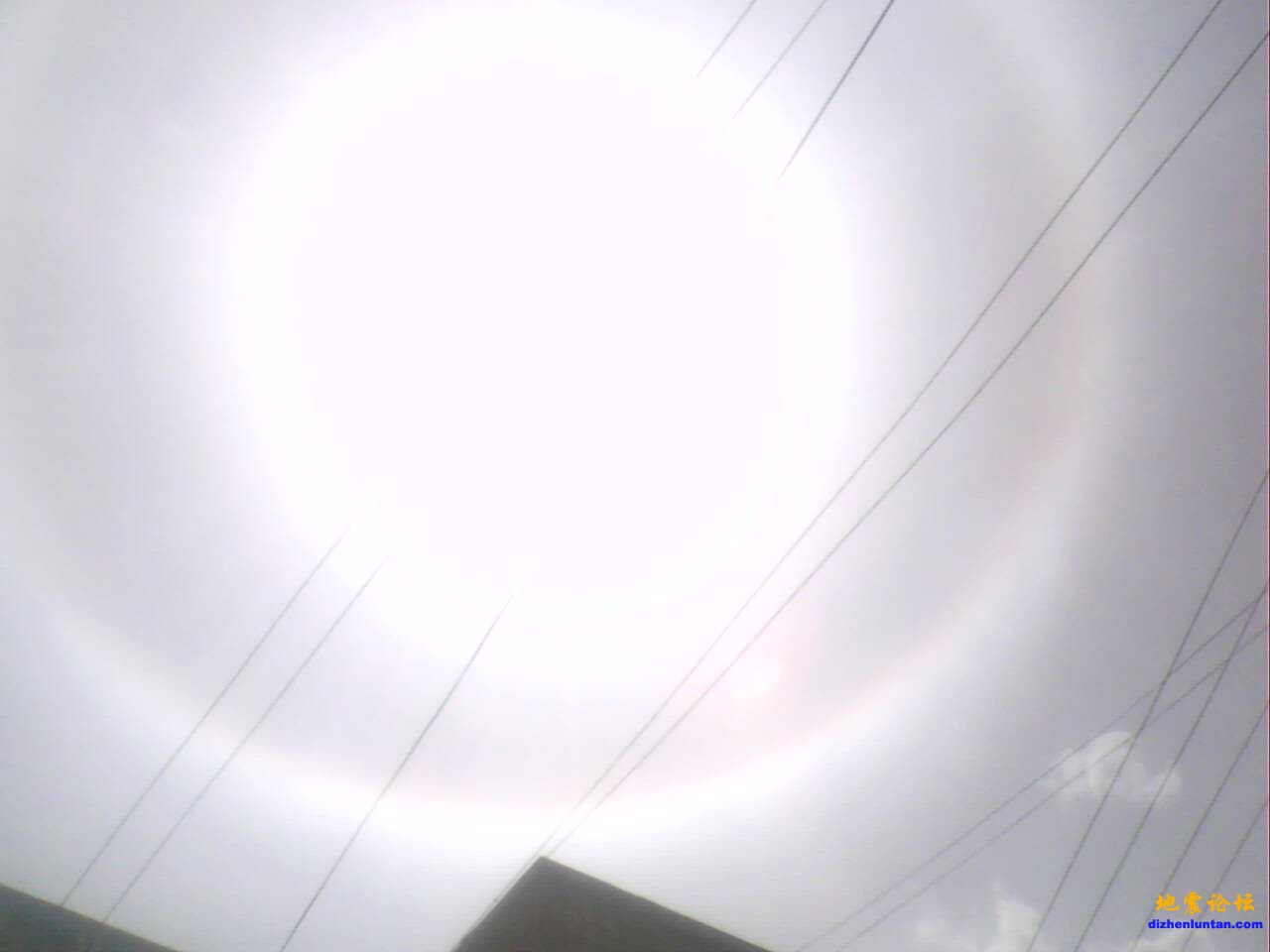 IMG0583A.jpg