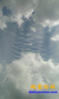 半空.jpg