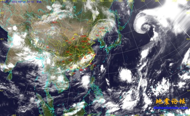 狗头.jpg