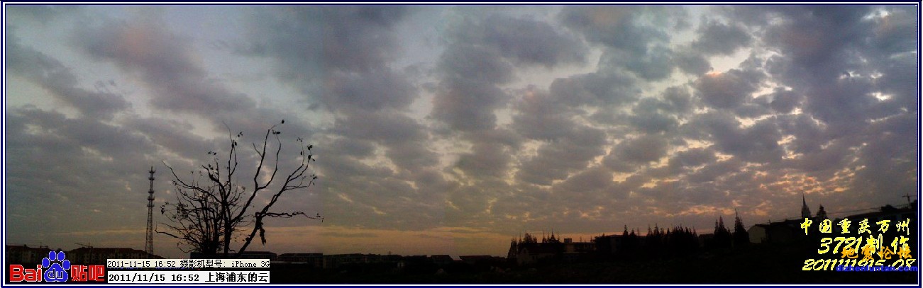 20111115上海浦东1652拍云.JPG