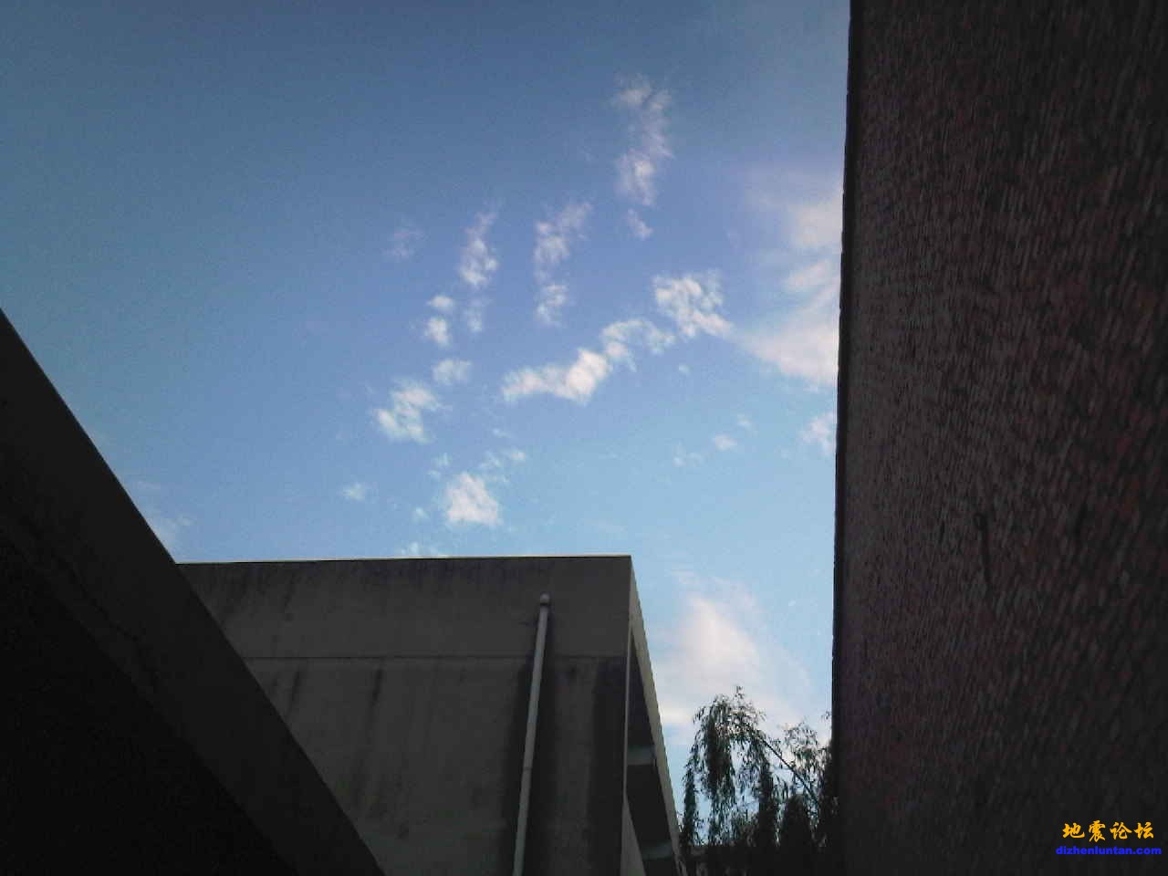 照片-0010.jpg