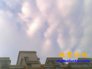 IMG1005A.jpg