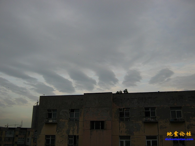 IMG_2032.JPG