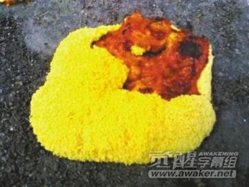 金黄色陨石.jpg