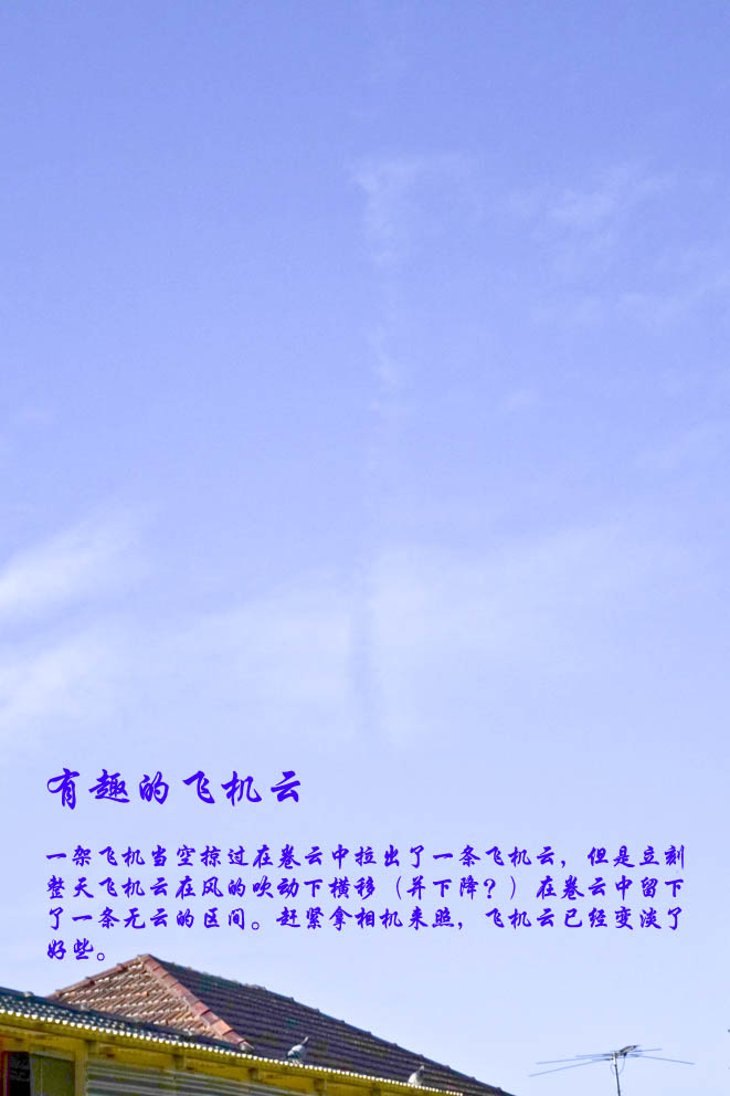 2114120vDSC00226.jpg