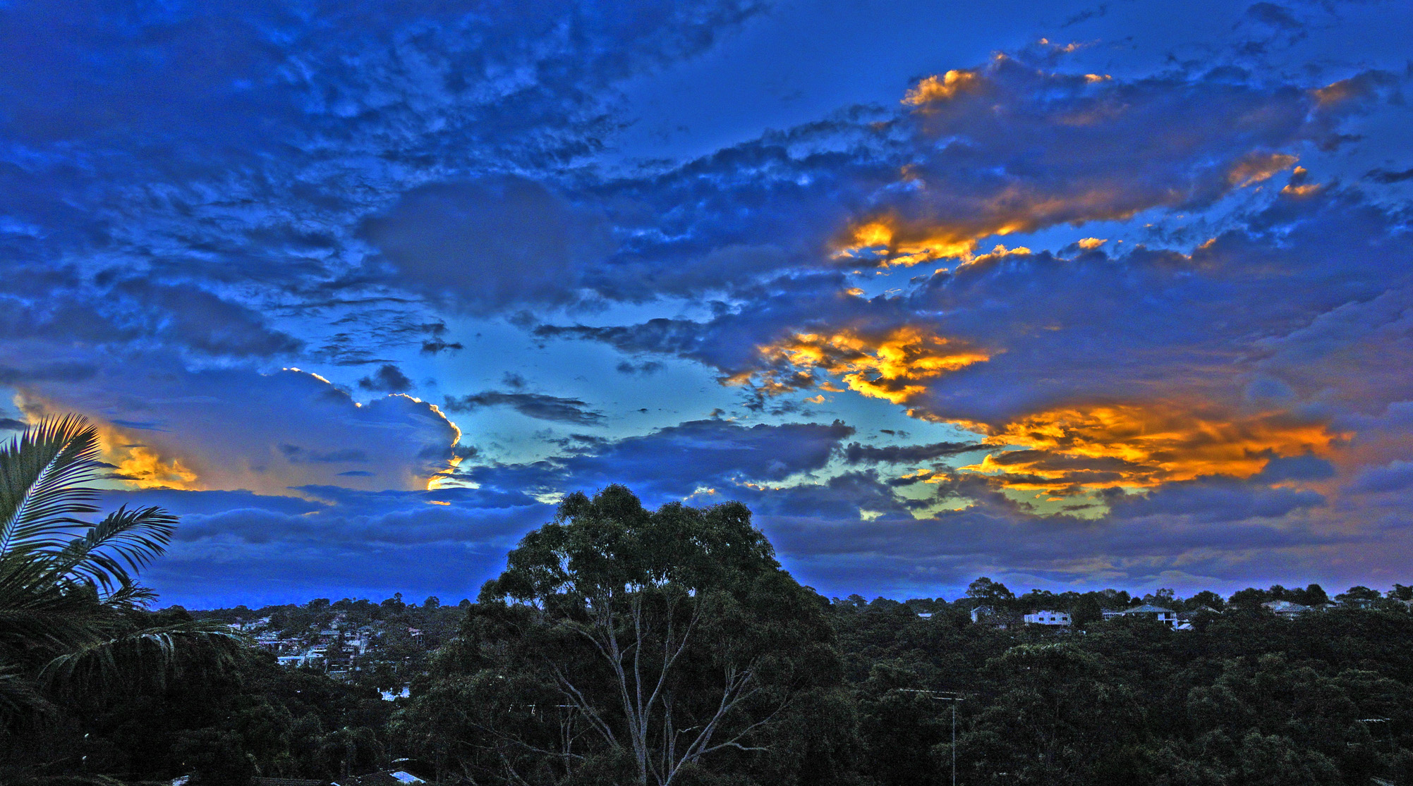 1691DSC00551.jpg