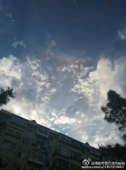 2015052317+烟台01