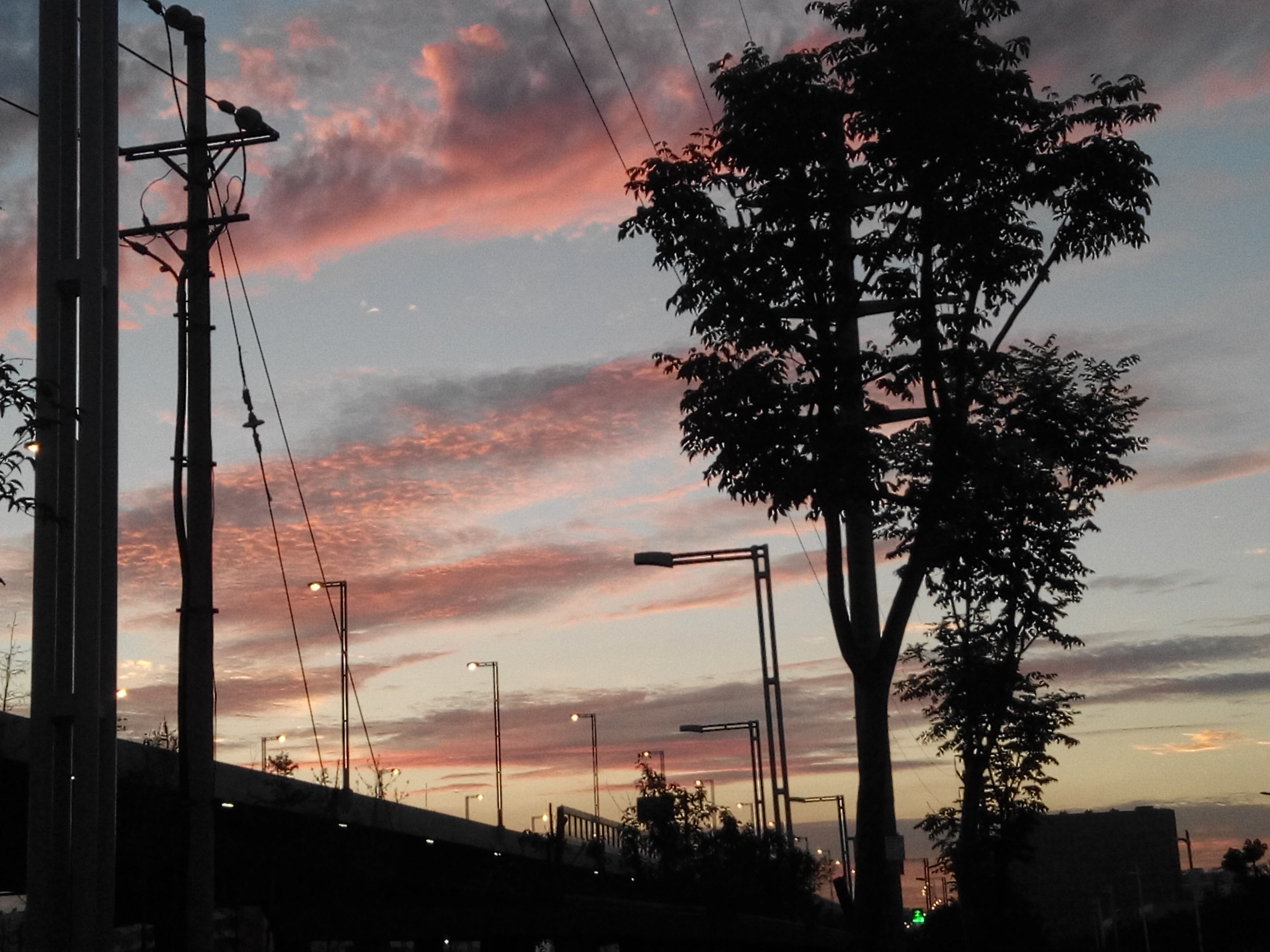 IMG_20150710_194634.jpg
