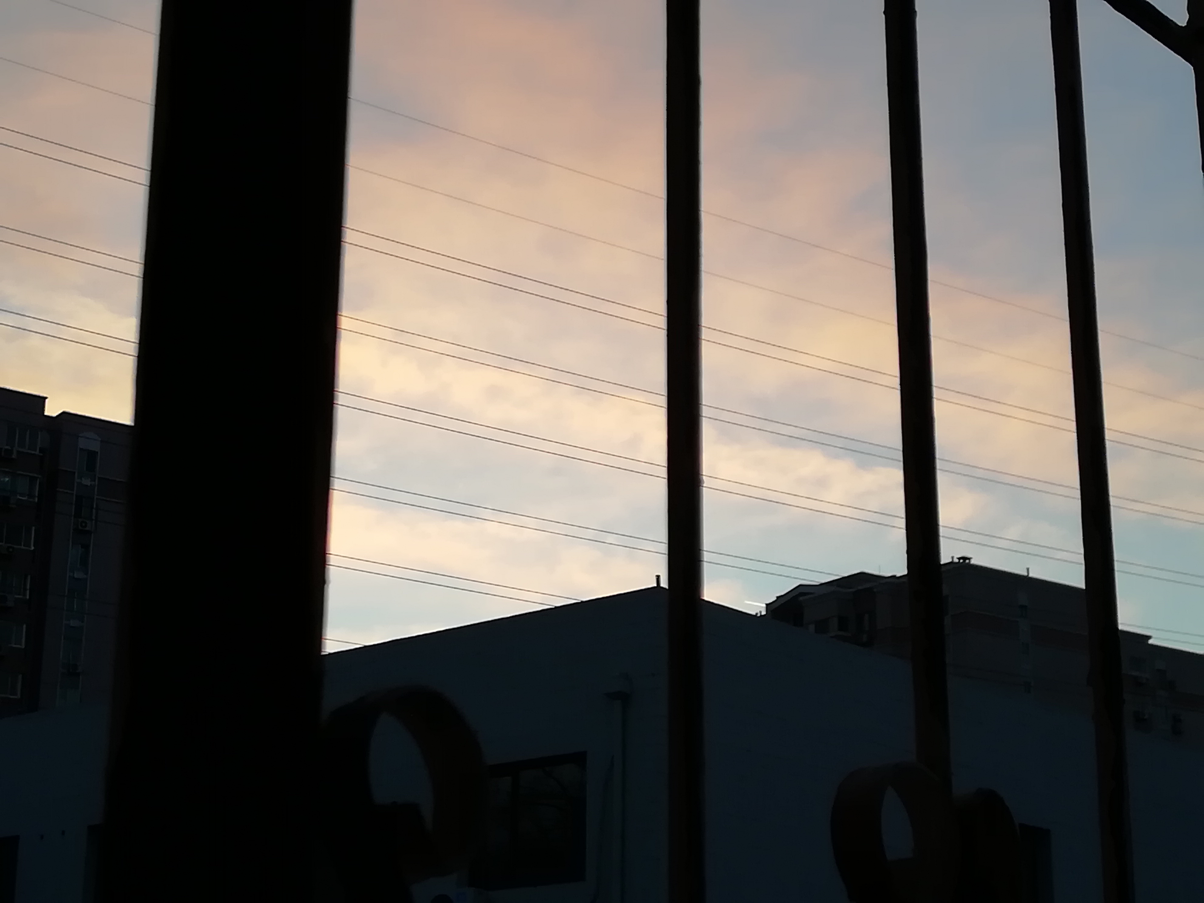1月12日早晨/波浪状疑似云 