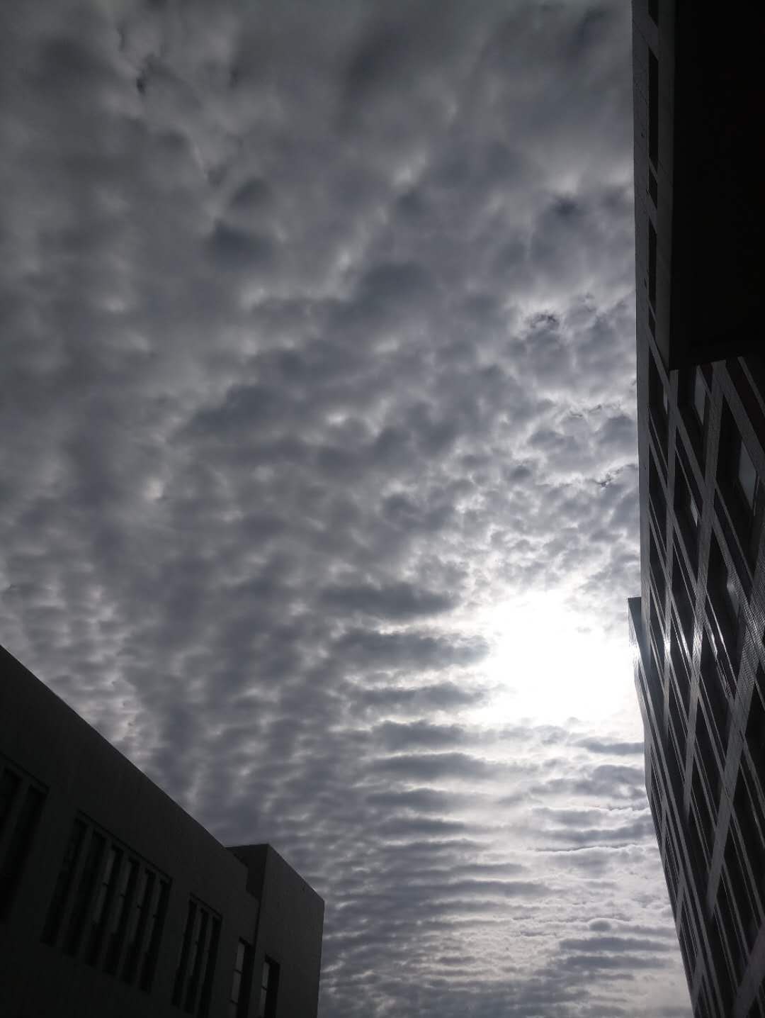 198059969835079456.jpg