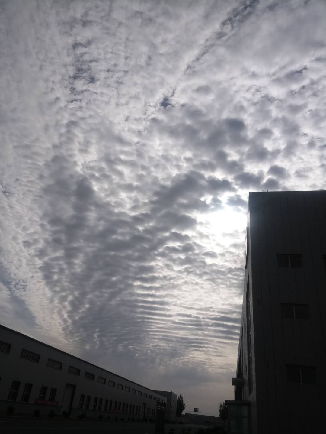 635096742646847273.jpg