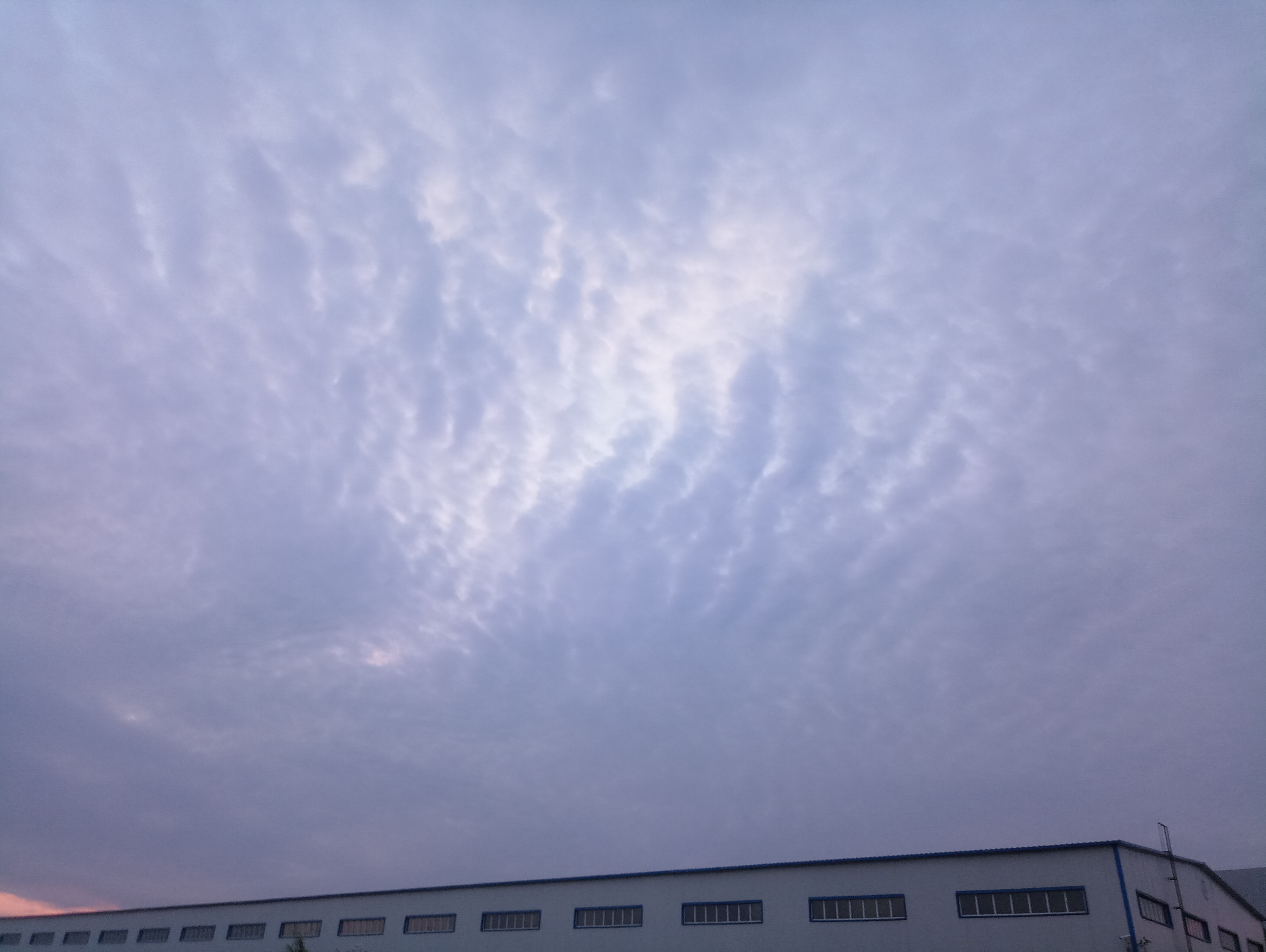 P80612-192614.jpg