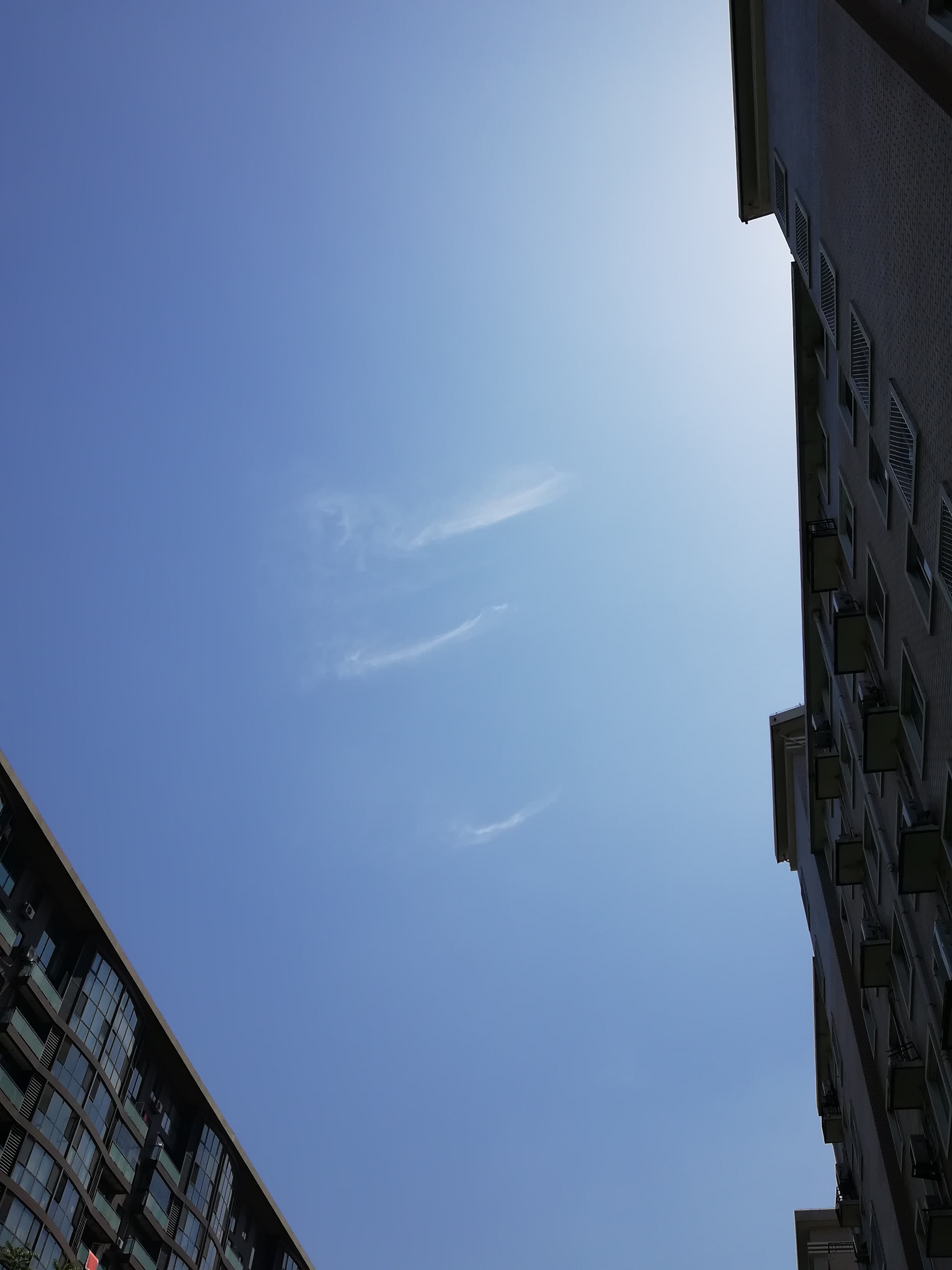 IMG_20180621_105513.jpg