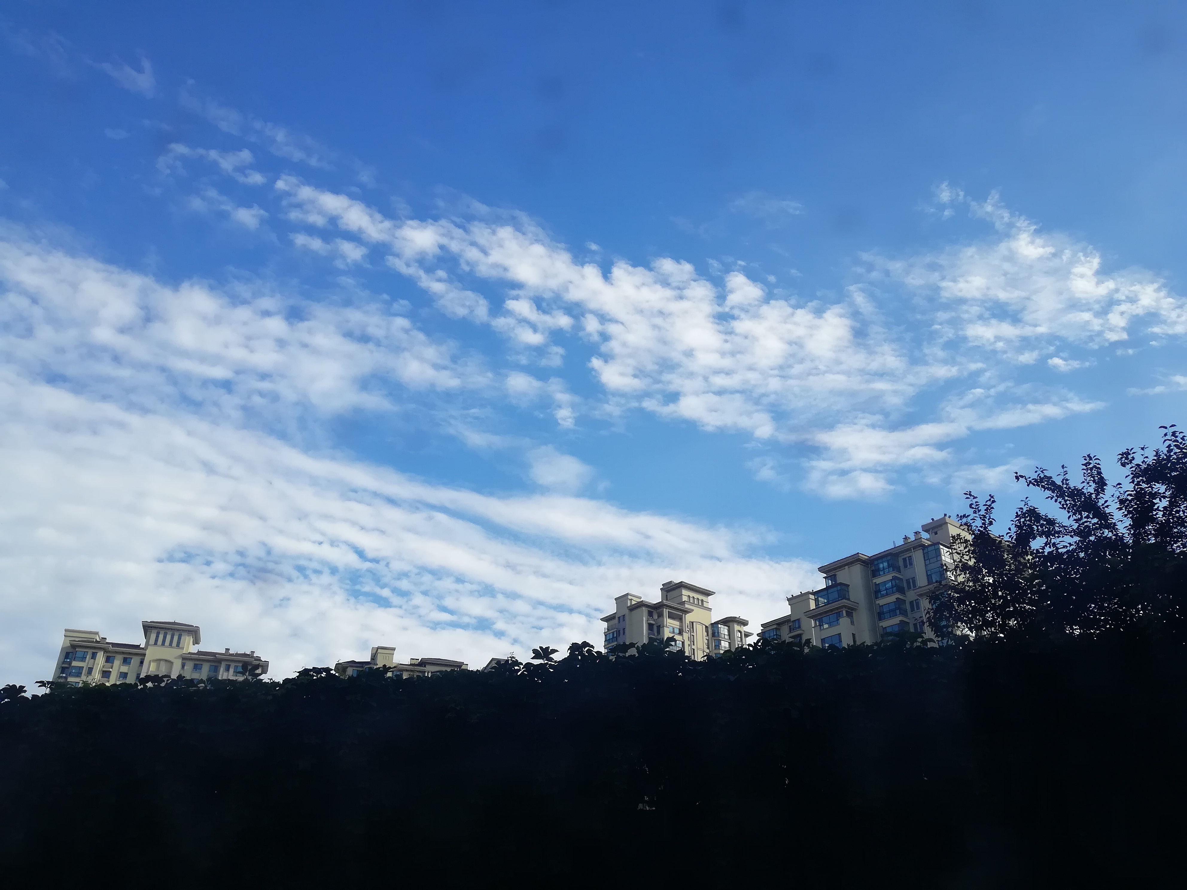 IMG_20180818_164105.jpg