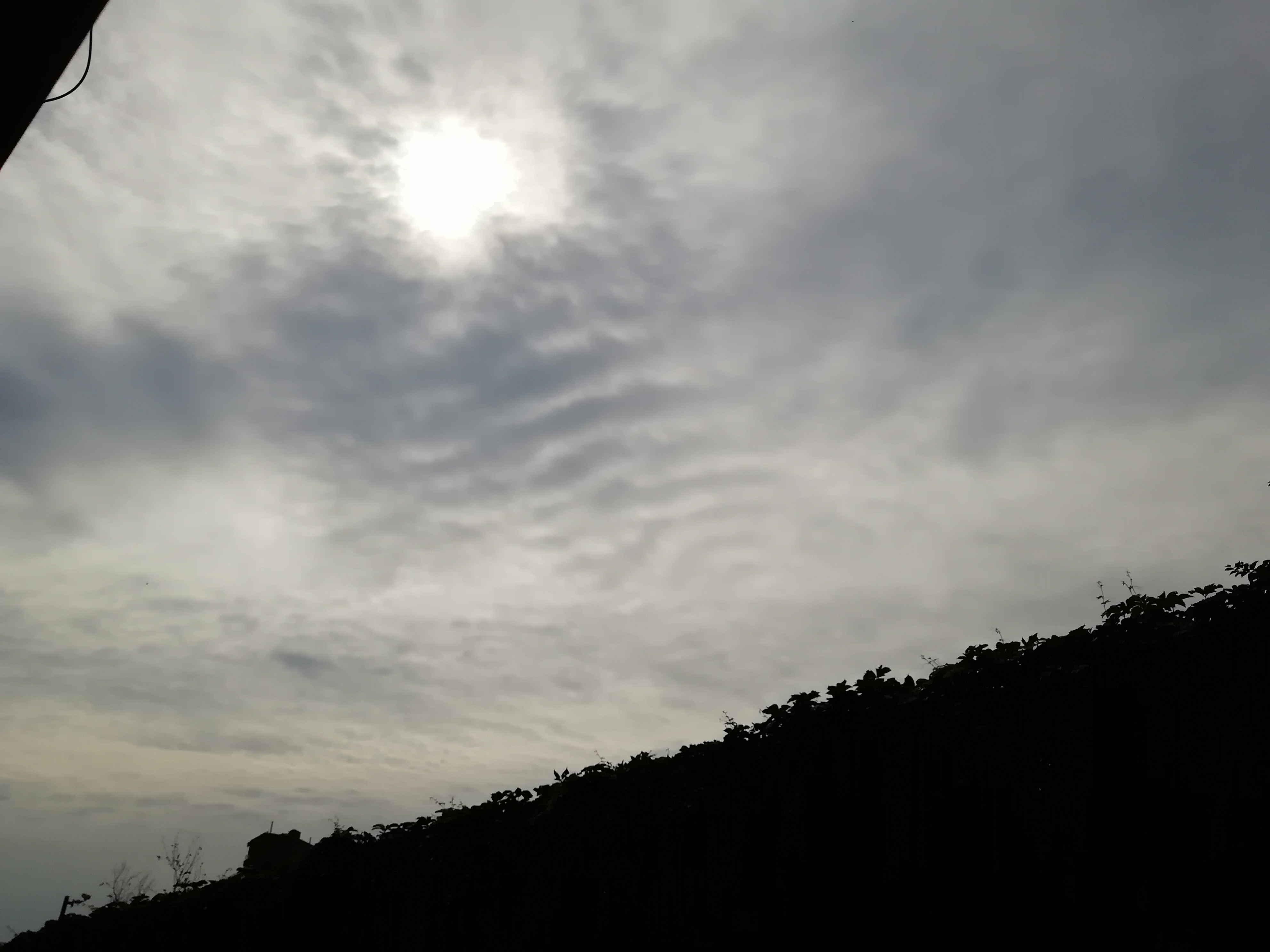 IMG_20180822_093751.jpg