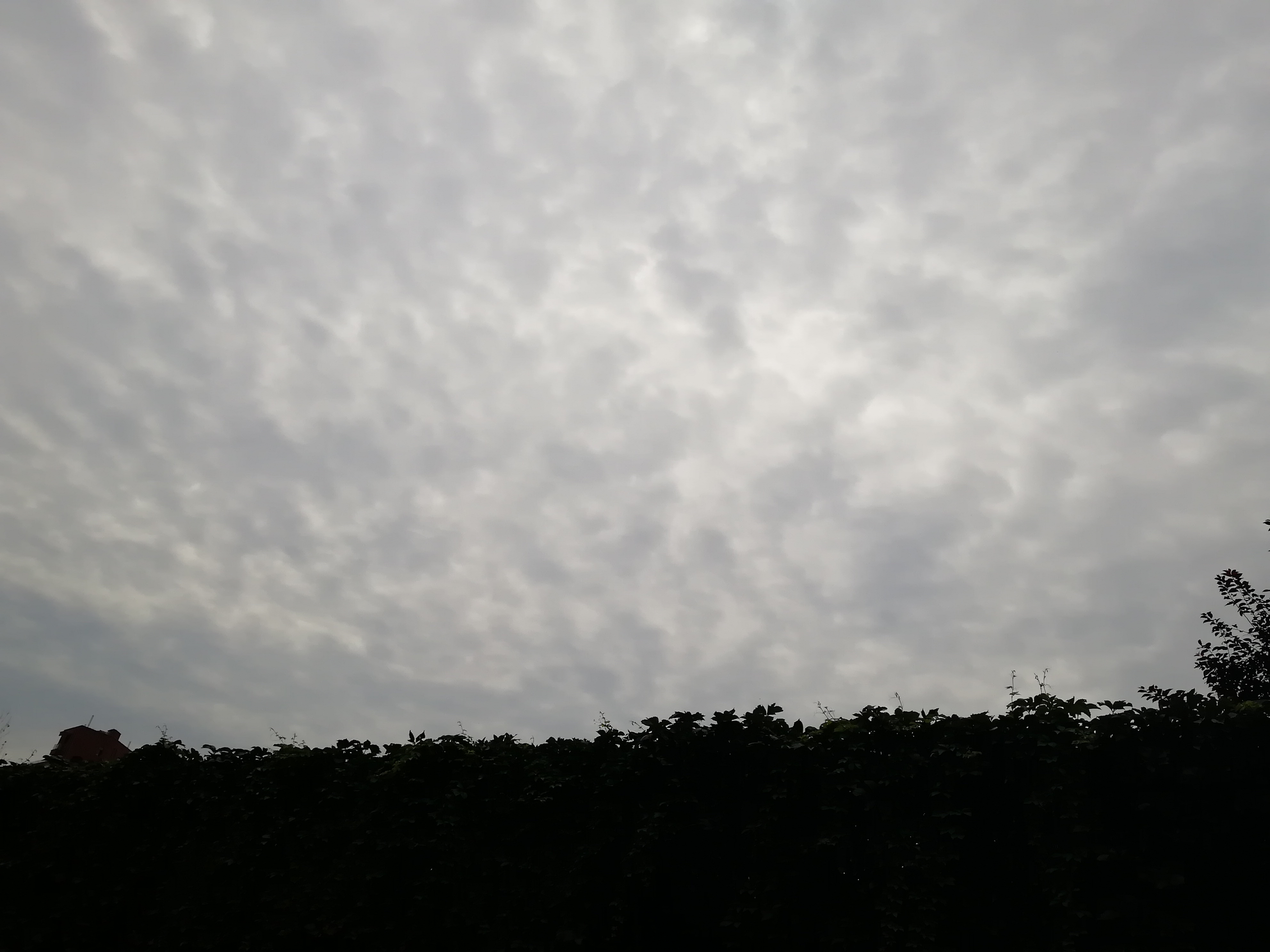 IMG_20180822_104457.jpg