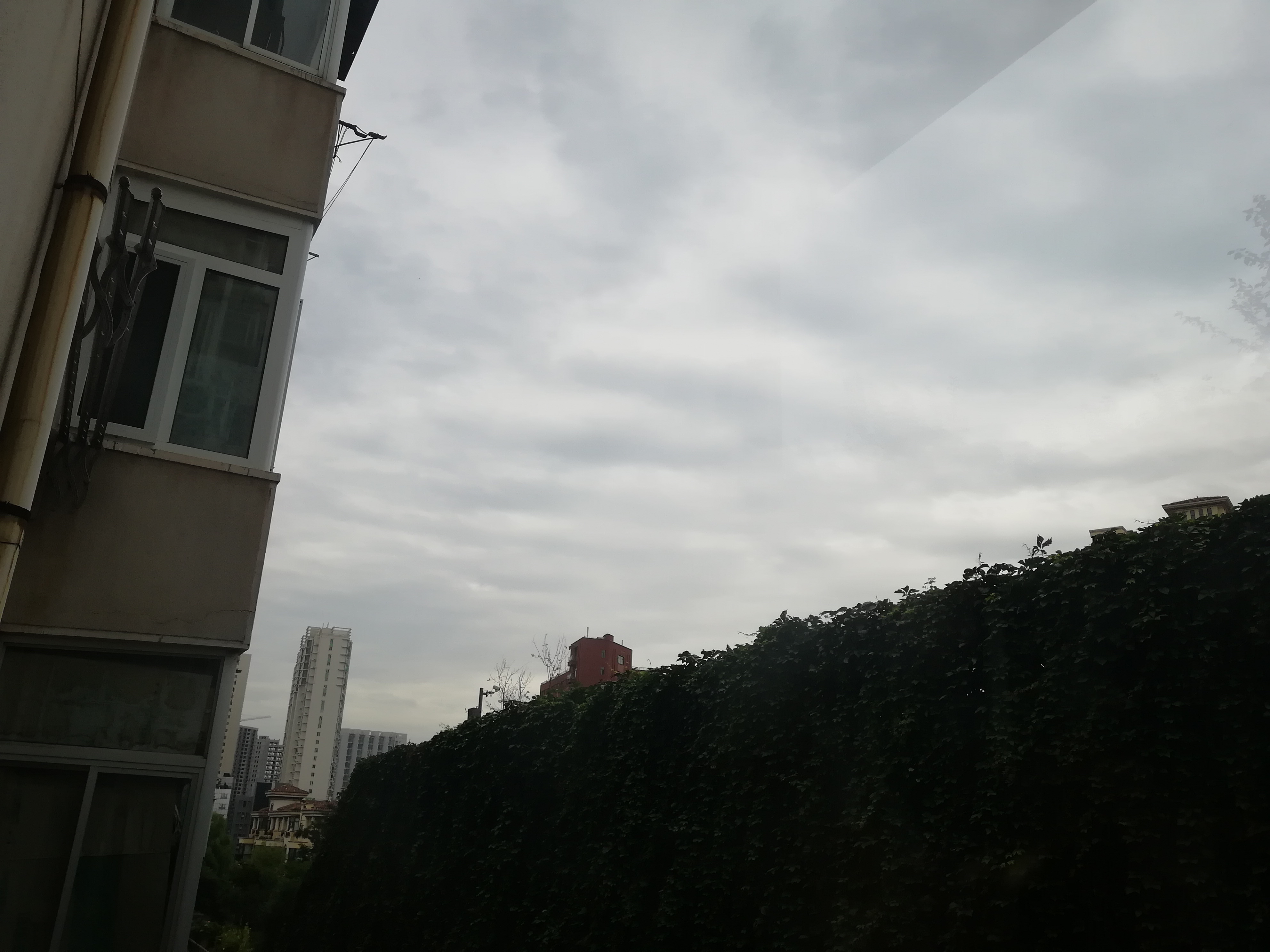 IMG_20180830_083021.jpg