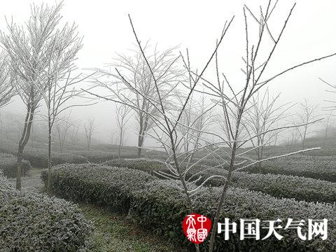 0611044034FA9055A1D7C0BF4B913DEACD33E61A.jpg
