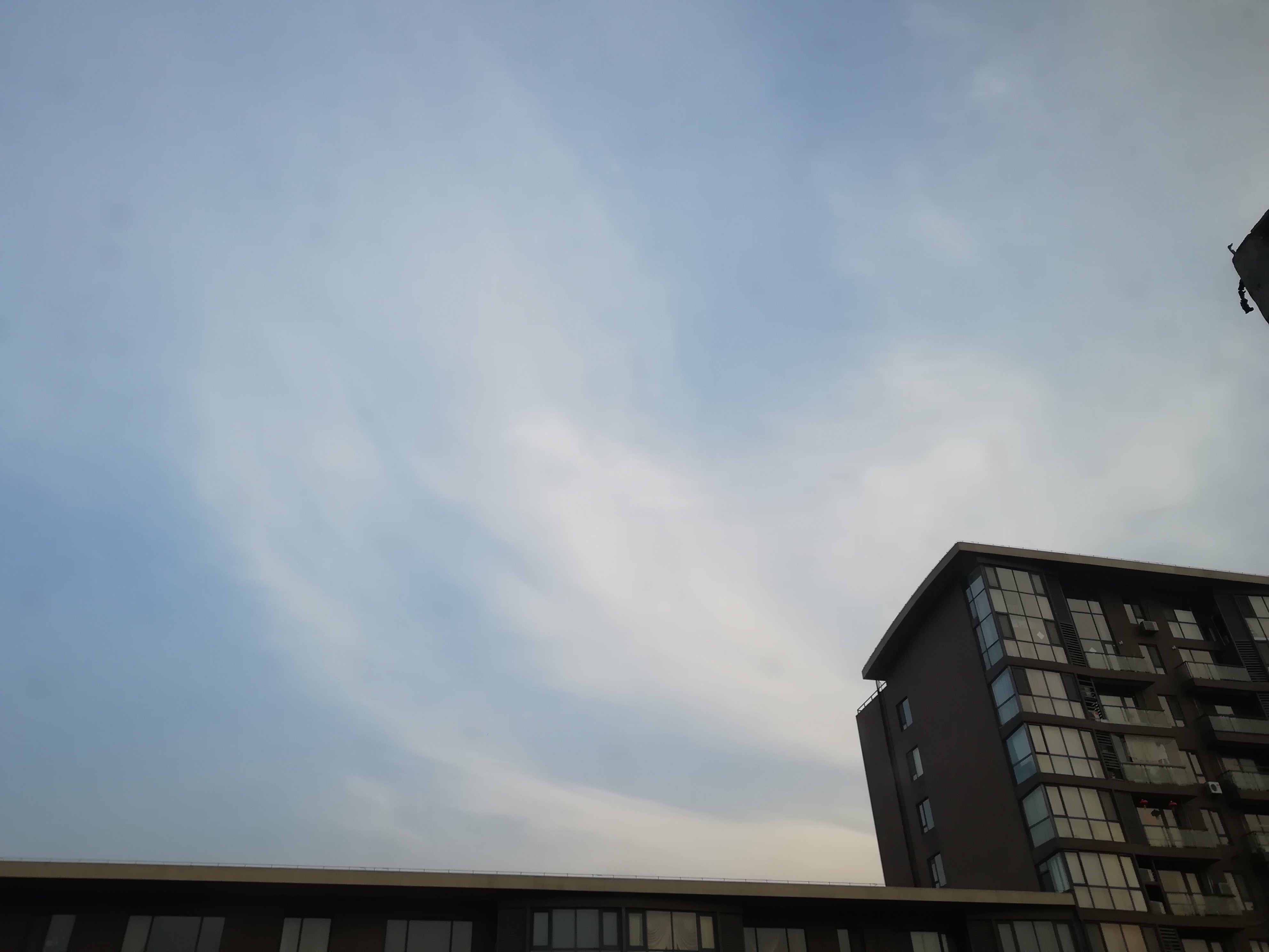 IMG_20190202_080105.jpg
