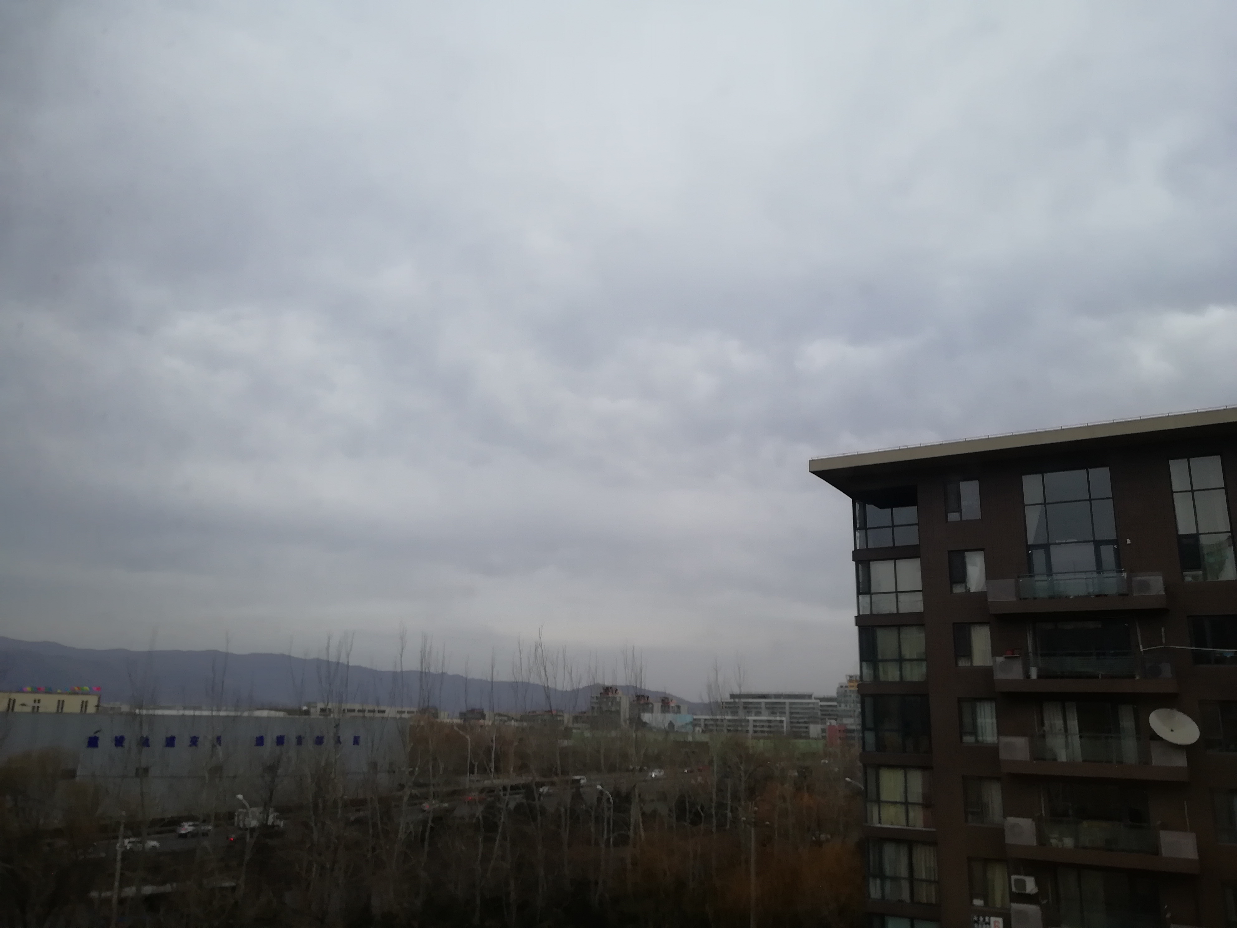 IMG_20190203_081215.jpg