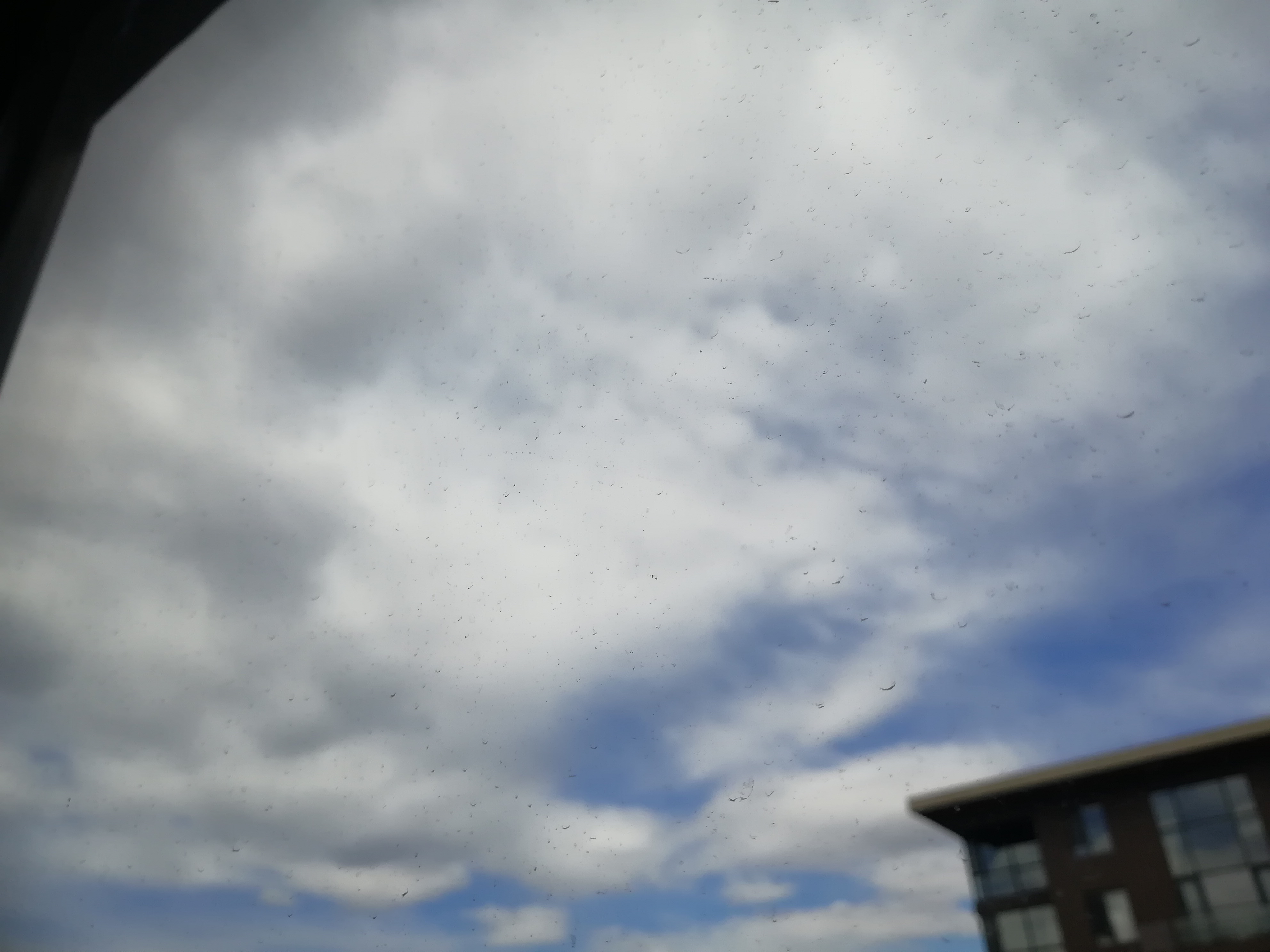 IMG_20190314_110905.jpg