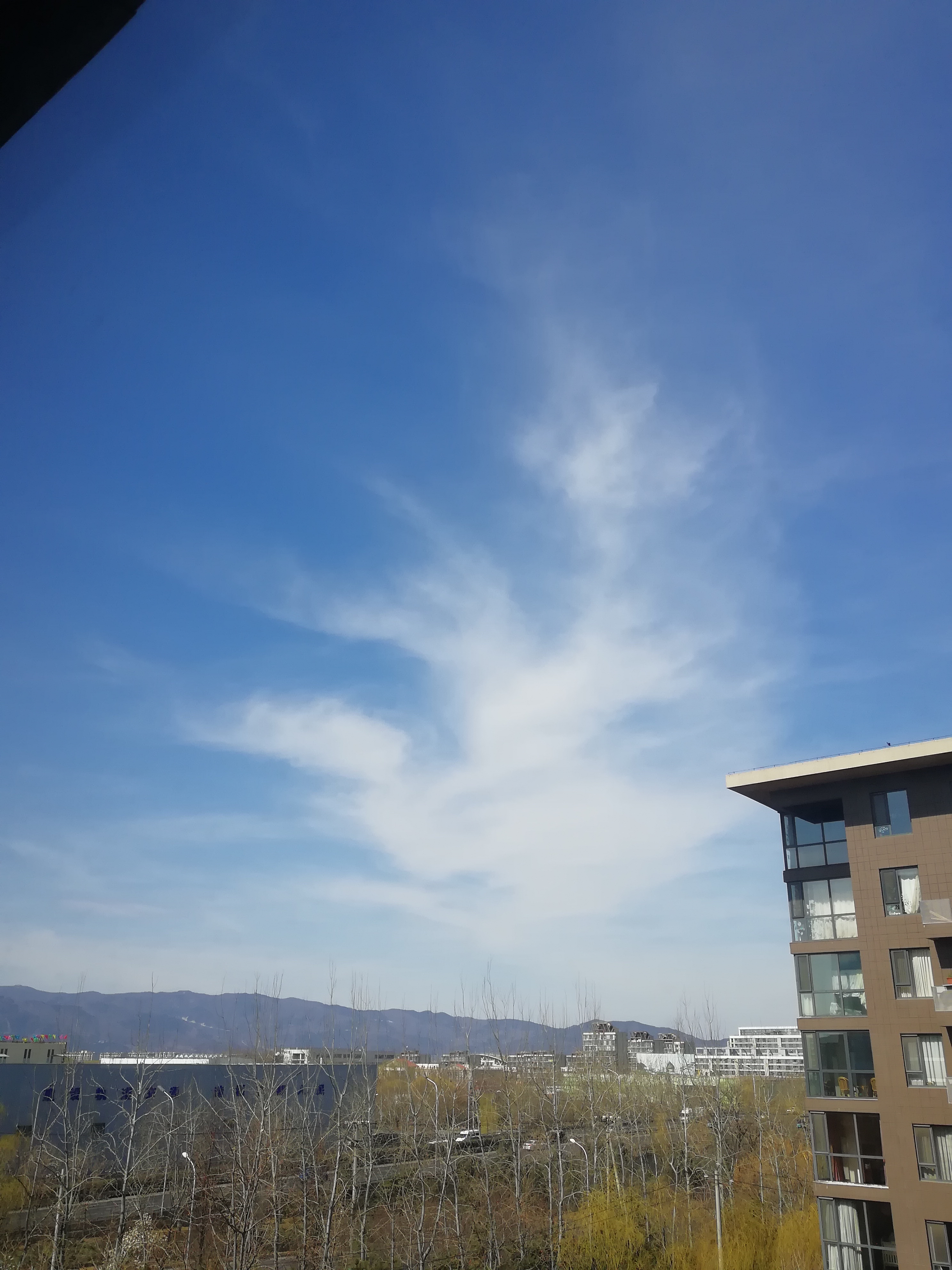 IMG_20190315_124511.jpg