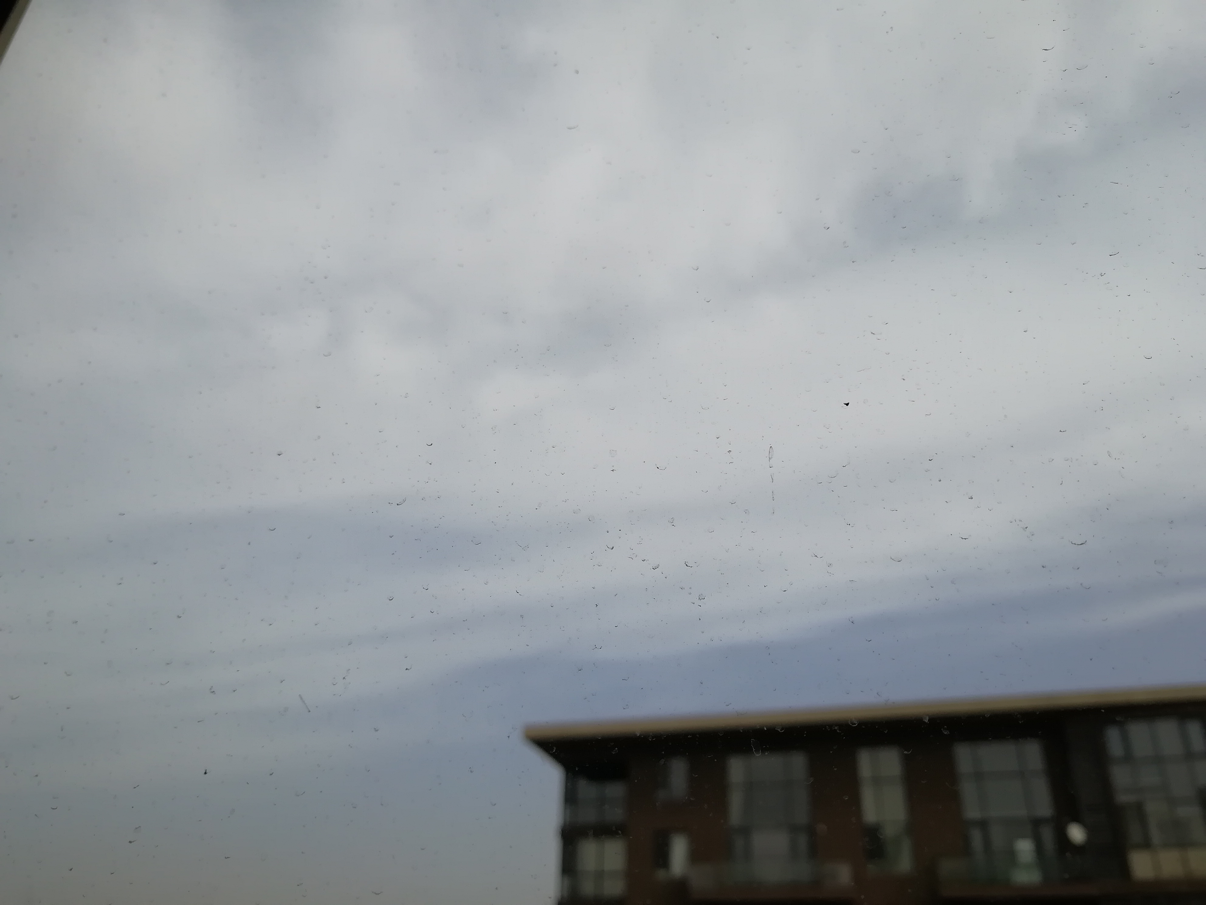 IMG_20190406_084817.jpg