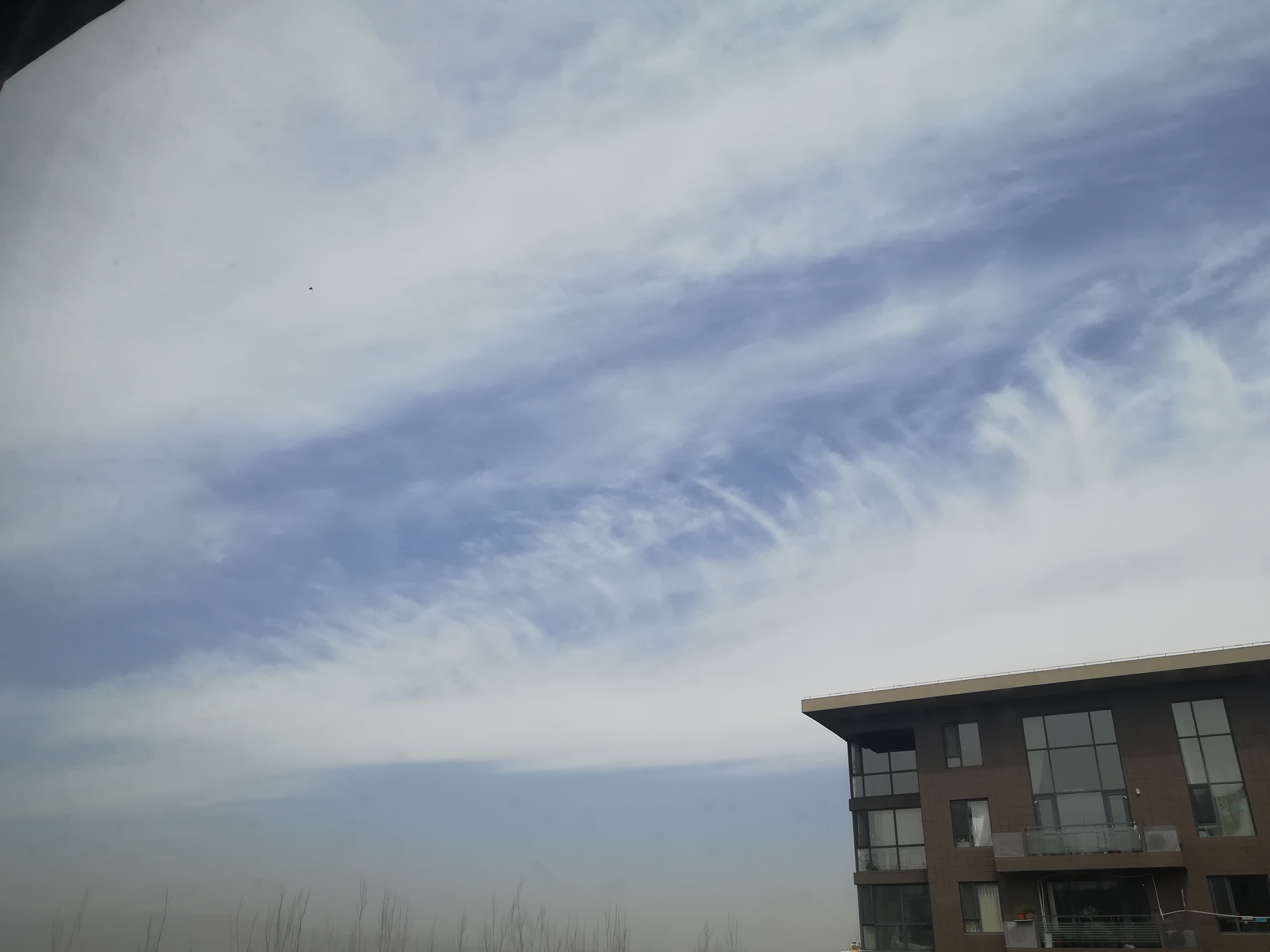 IMG_20190406_113037.jpg