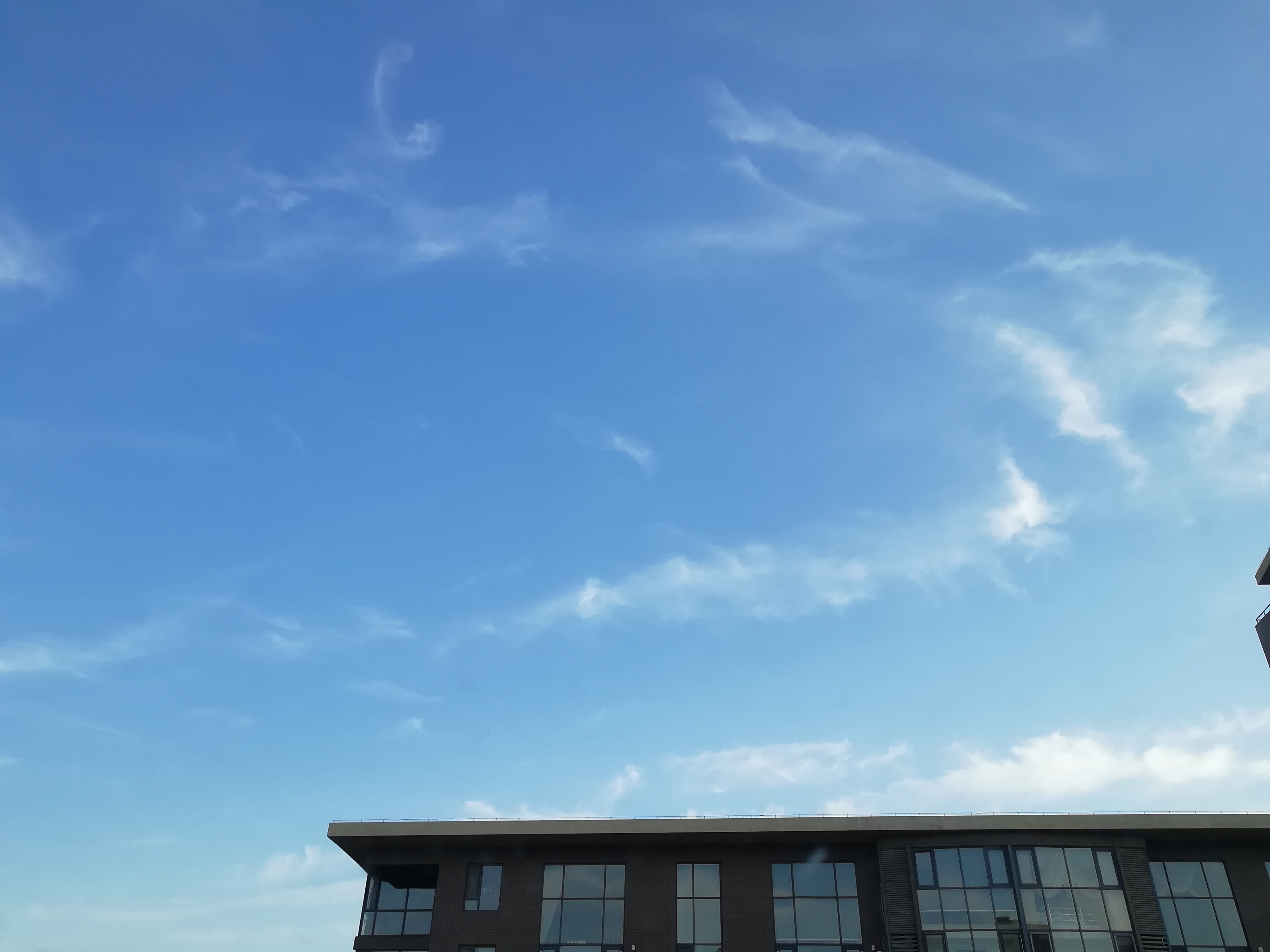 IMG_20190415_070335.jpg