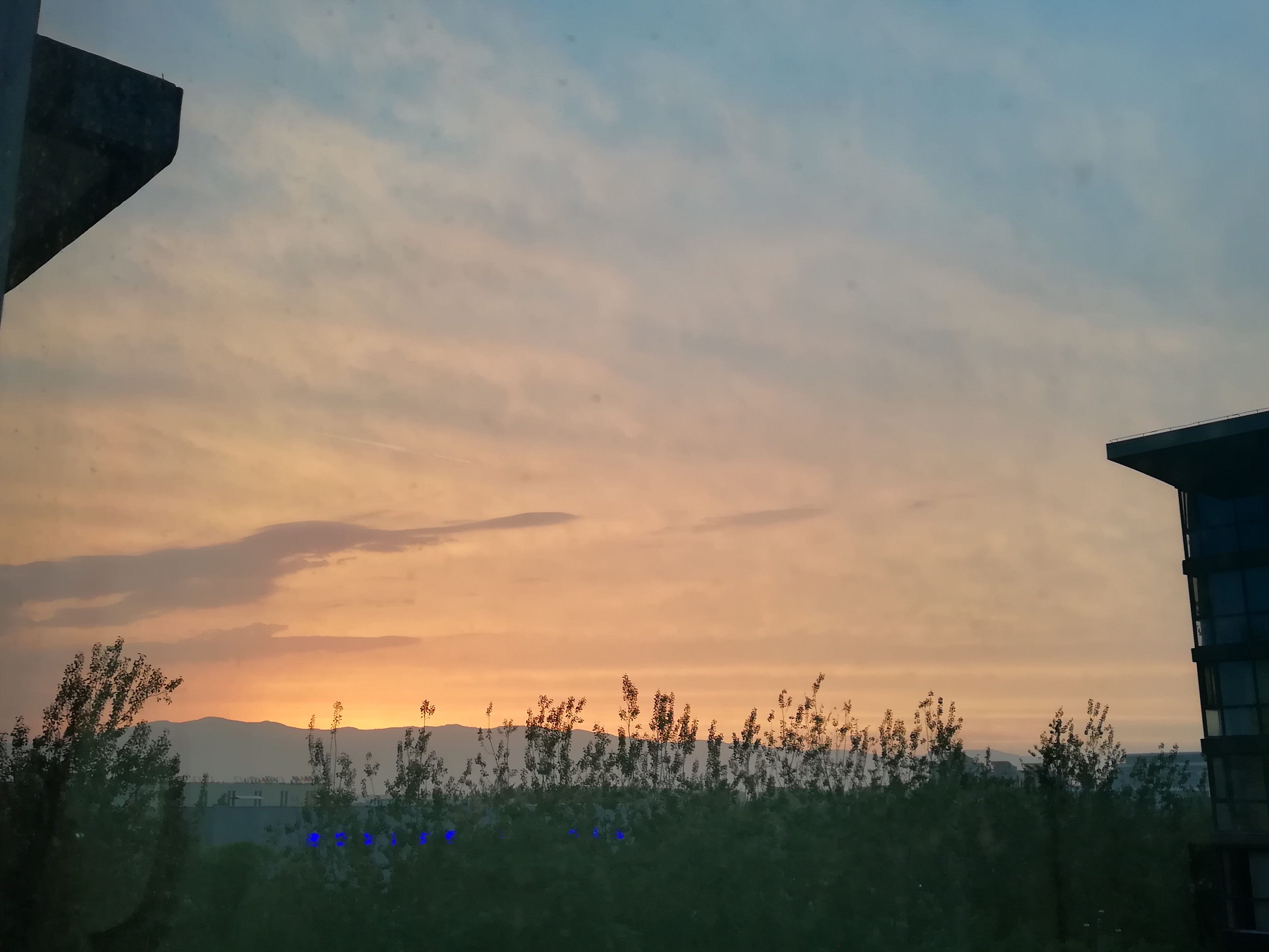 IMG_20190605_193752.jpg