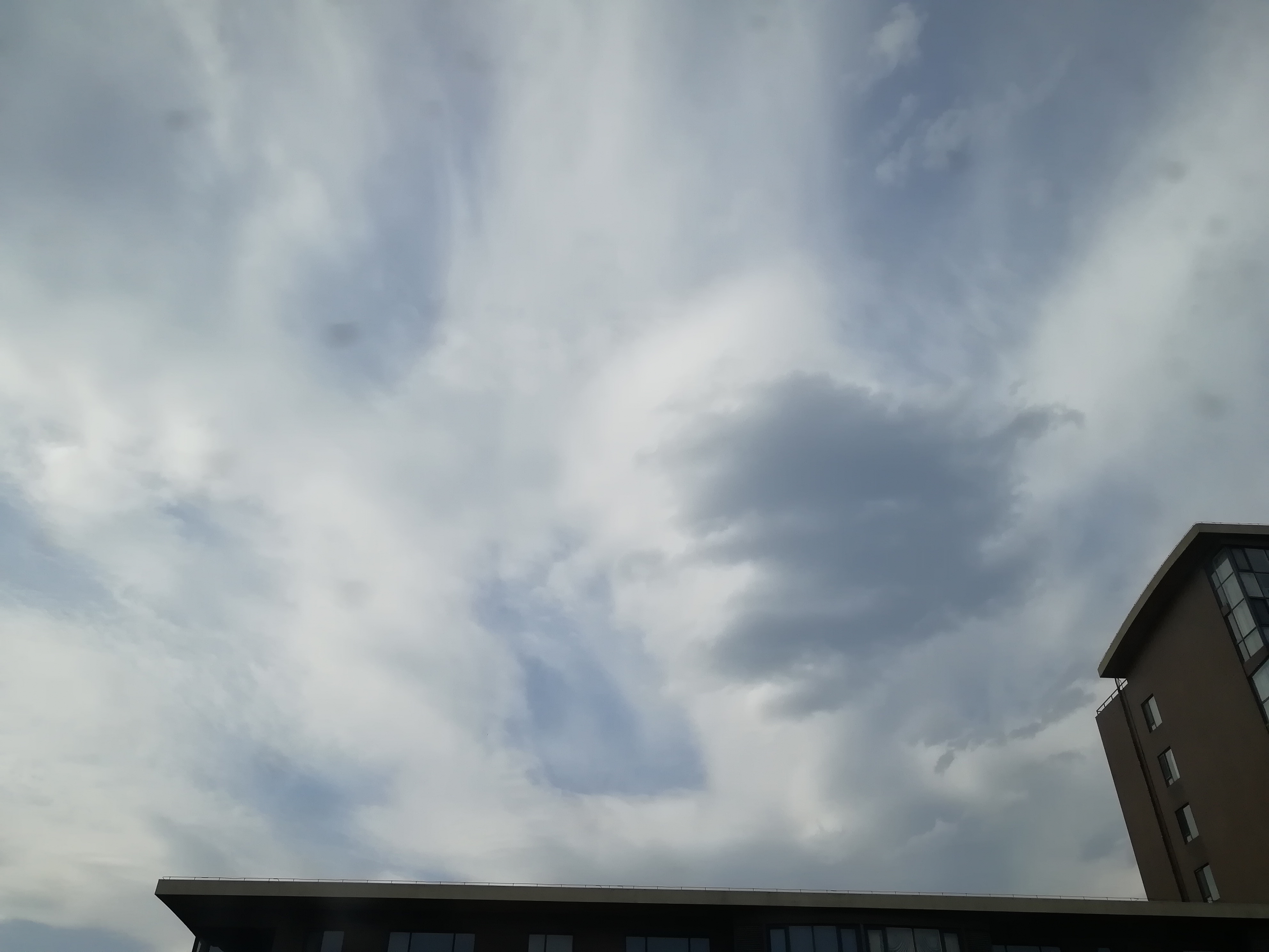 IMG_20190608_164117.jpg