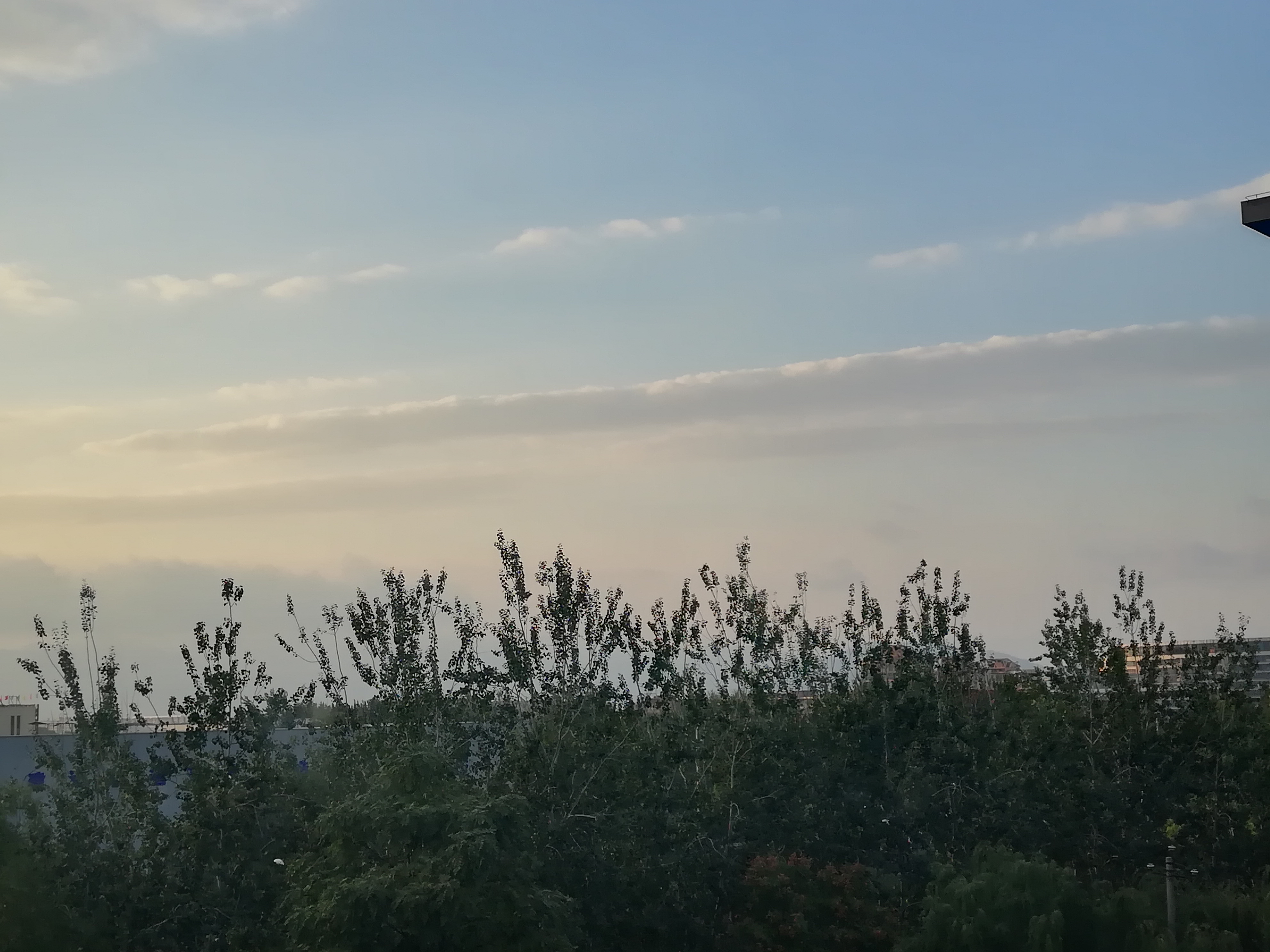 IMG_20191013_165334.jpg