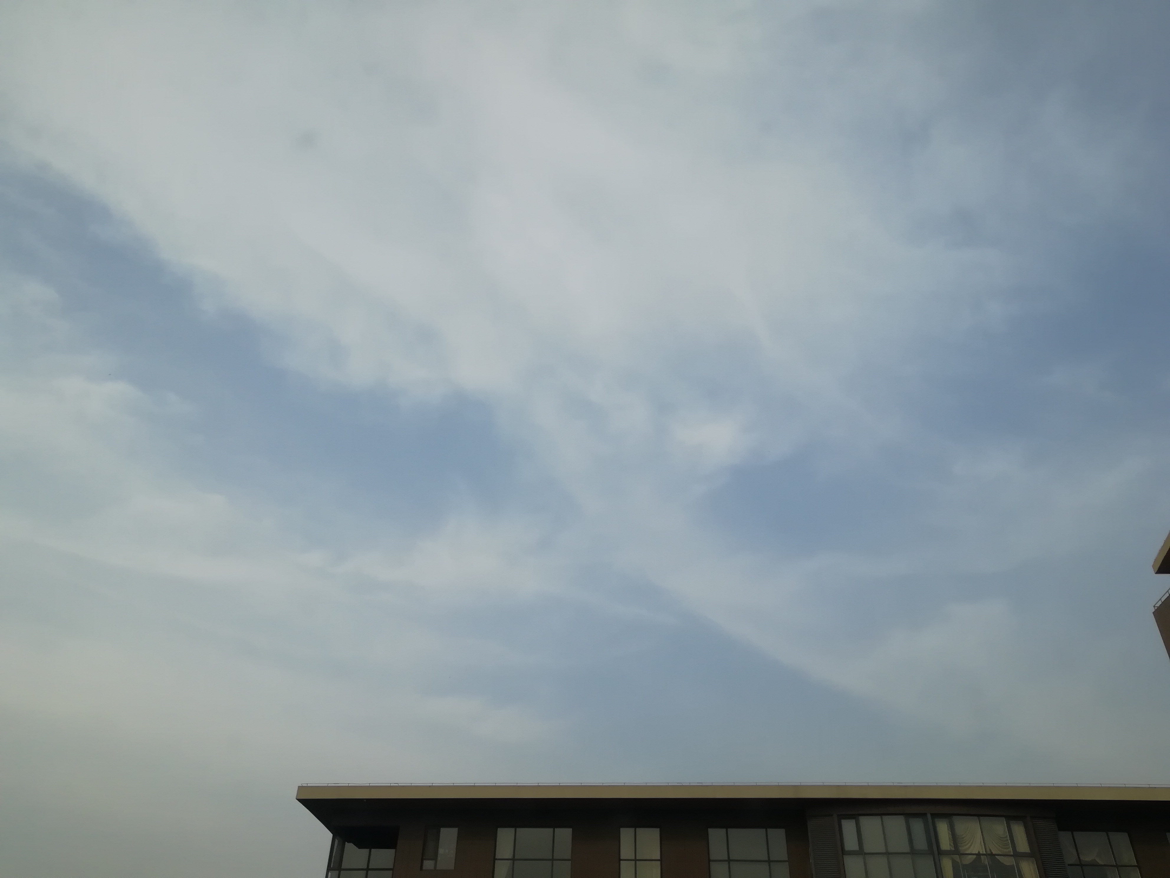 IMG_20191022_142631.jpg