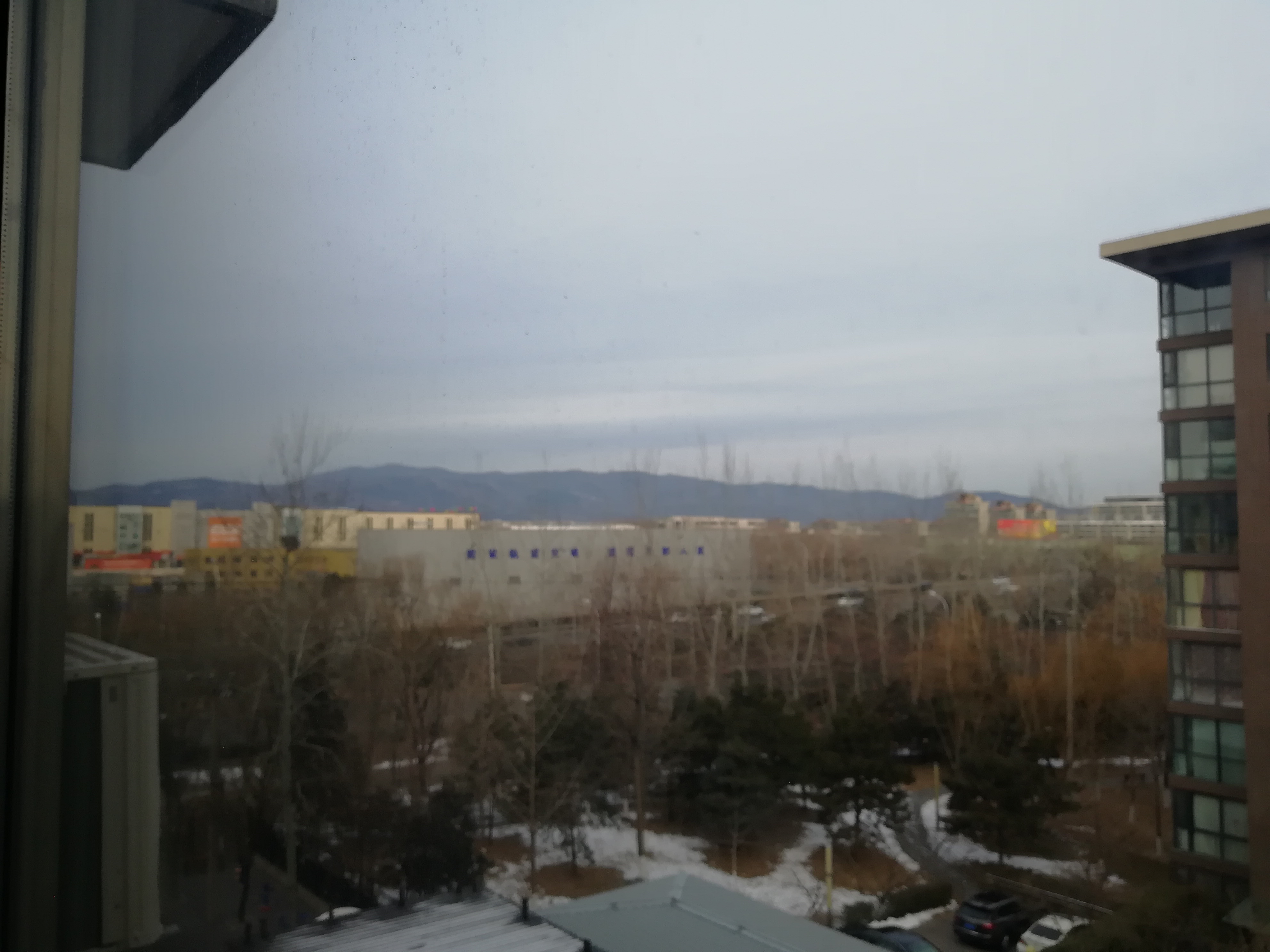IMG_20200111_083821.jpg